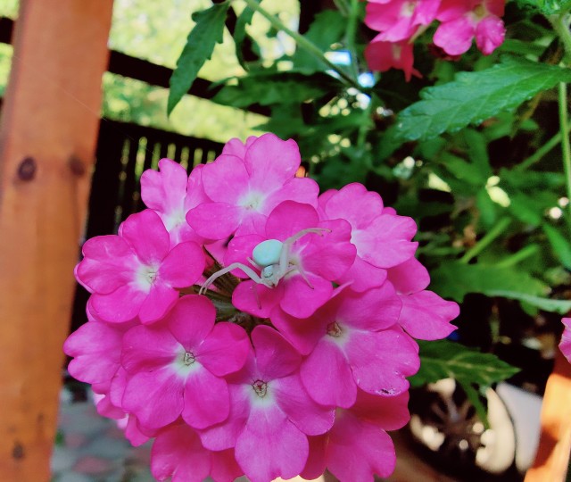 Что-то много негатива последнее время