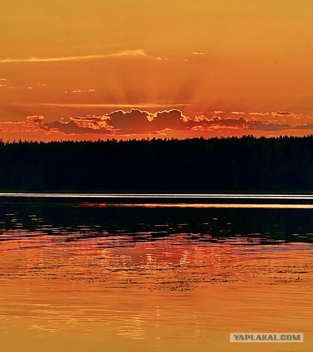 Кулинарная общалка