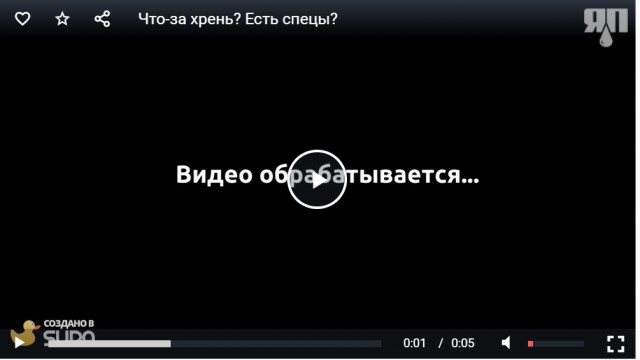 Что за хрень? Есть спецы?