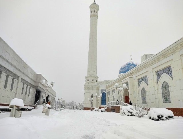 Нетипичный Ташкент. Снег и мороз