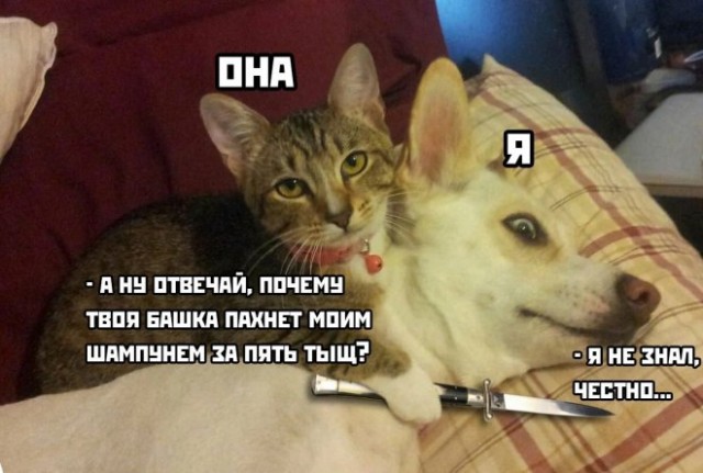 Немного картинок для настроения - 137