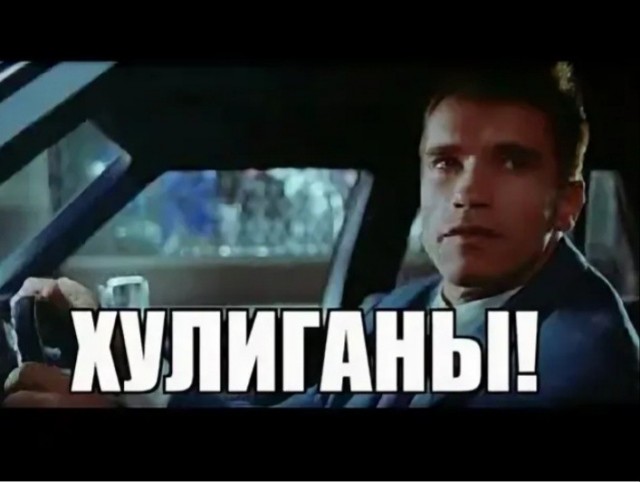 В дежурную часть ГУВД Владивостока с проверкой пришел Арнольд Шварценеггер