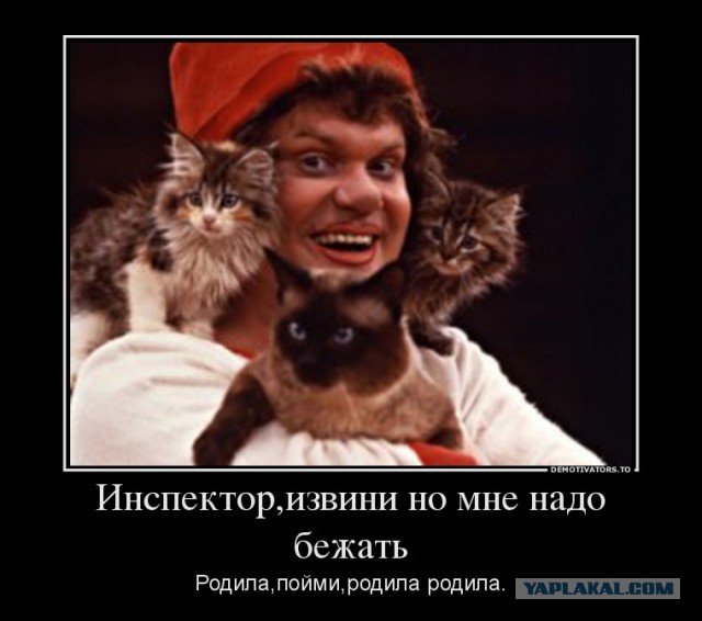 Павел Дуров сбил полицейского.