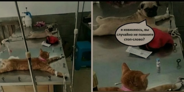 И я стал рабом