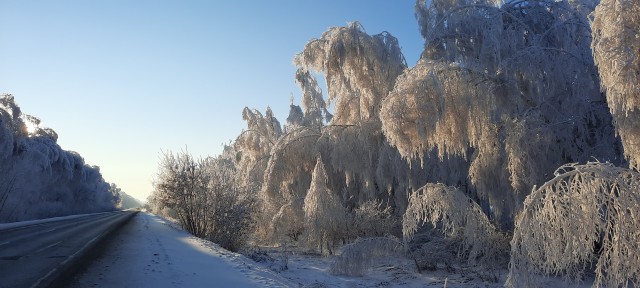 Красивые фото ЯПа