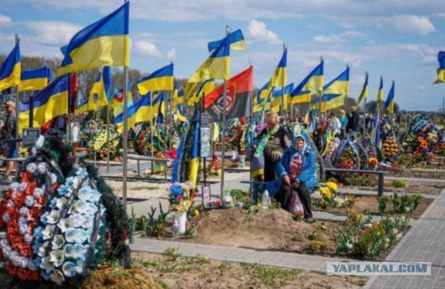 Ровно 10 лет назад начался майдан