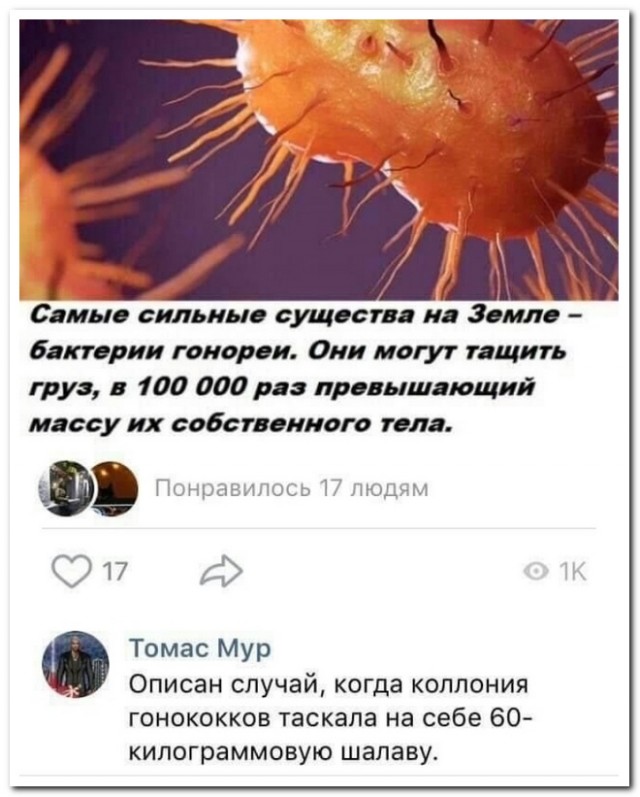 Забавные комментарии из социальных сетей (15.01.24)