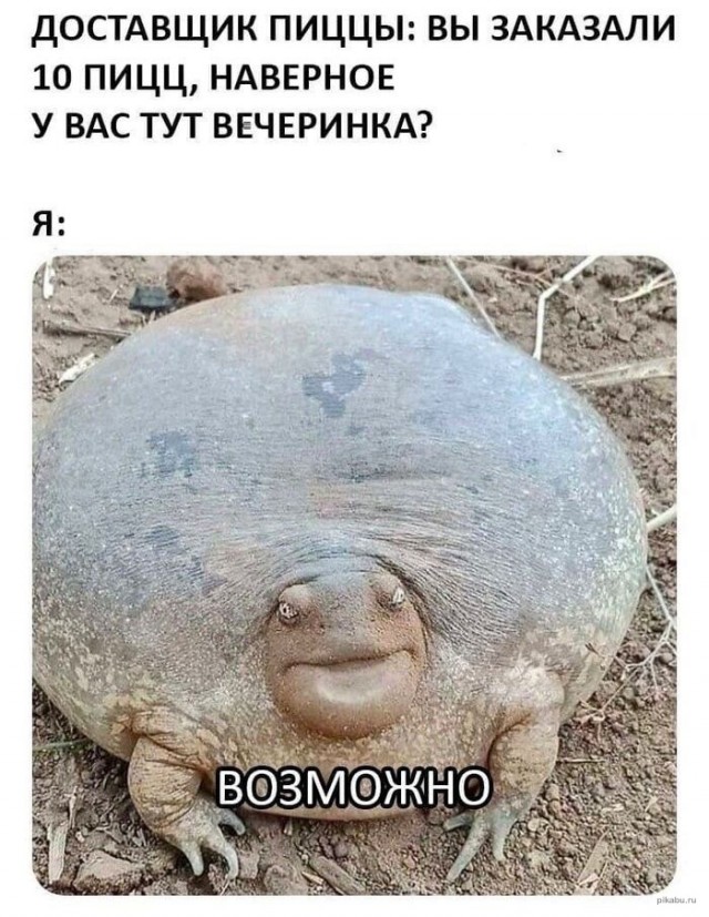 Так себе картинки 17.02.24