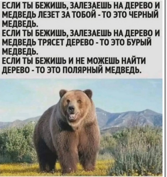 Забавные комментарии из социальных сетей (25.03.24)