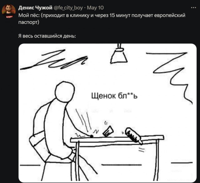 Смешные комментарии из социальных сетей 15.05.2024