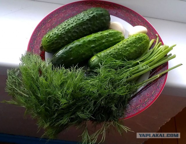 Окрошка Каббалиста