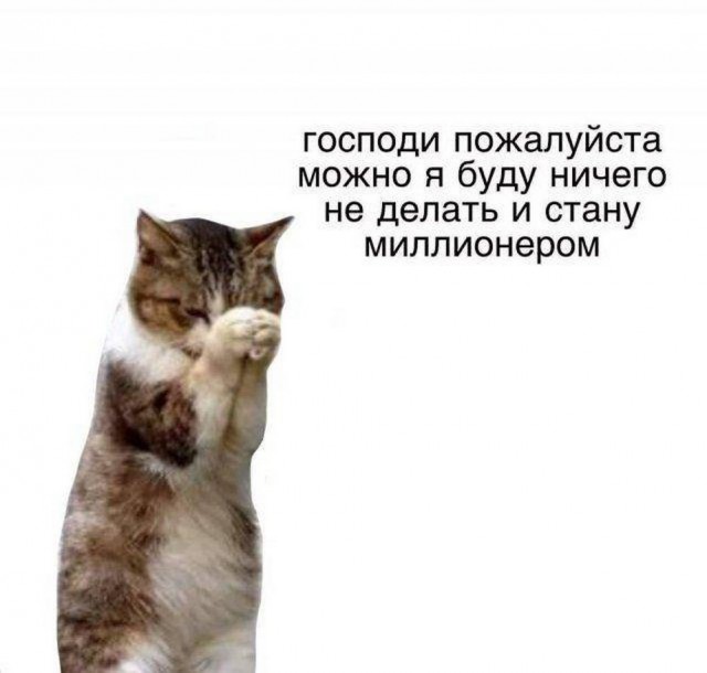 Нуштош 08.08.2024