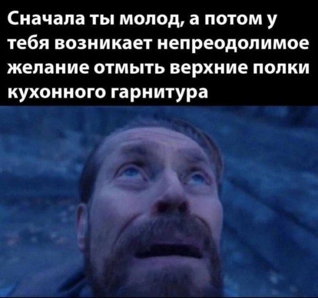 Весёлый полтишок 27.08.24