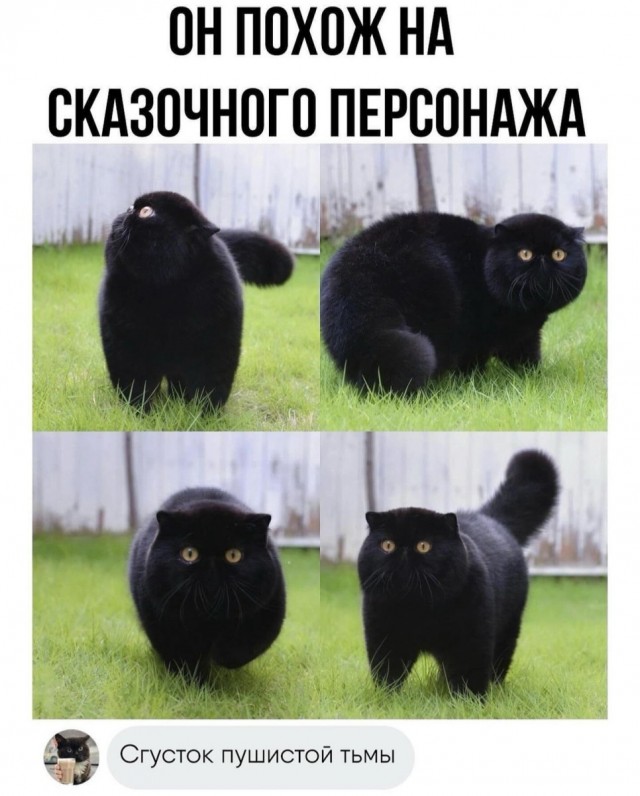 Боянчики. Некоторые даже актуальные