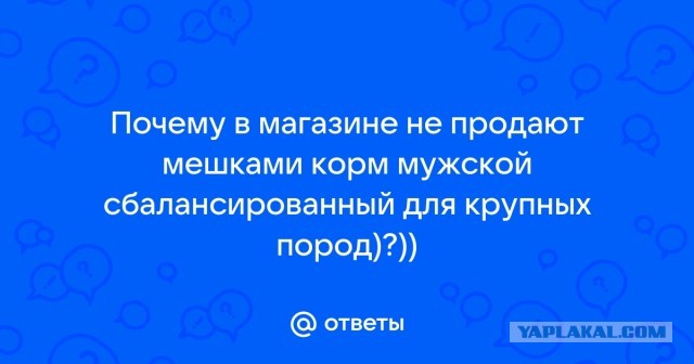 Печально, но факт... Импортный кошачий корм оказался лучше отечественных консерв