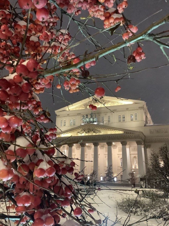 Прикольные и просто красивые картинки 07.01.2025