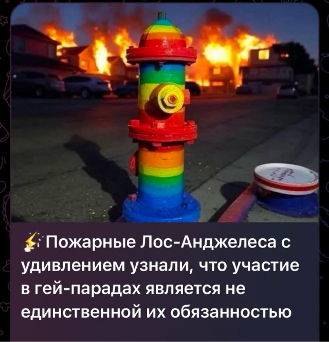На злобу дня