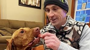 Бывший полицейский за год спас более 40 потерявшихся собак и кошек