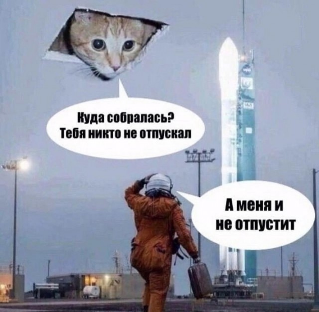 Веселые картинки в пятницу (04.04)