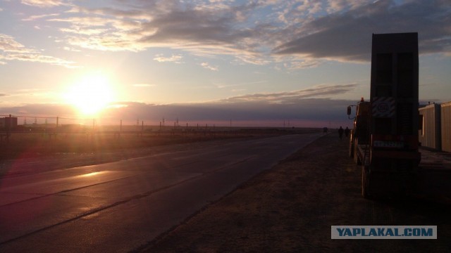 Красота! Лето на Ямале. Фото