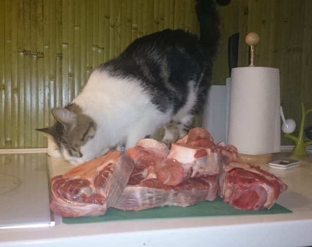 Опять не мне