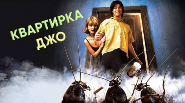 В Таиланде дамочка смахнула таракана с головы мужика, но оказалось, что это был его необычный питомец
