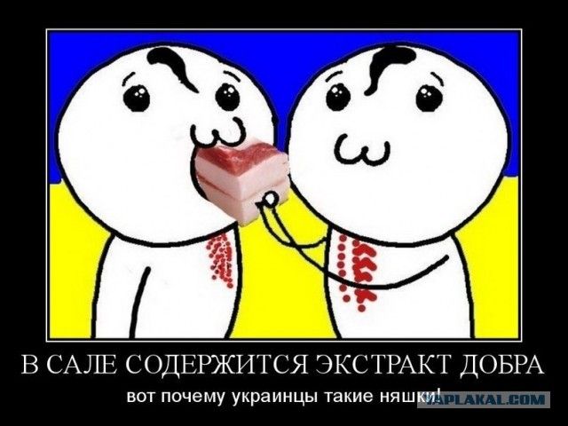 Интересные факты о сале