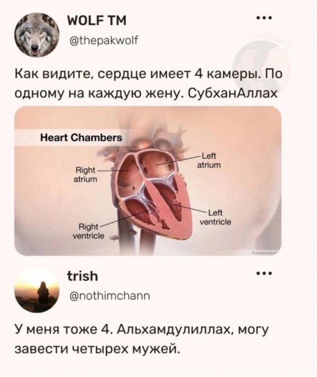 Так себе картинки 11.05.25