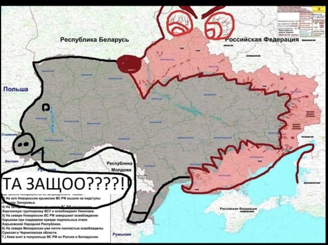 "Женщина ударившая мужчину автоматически превращается в спарринг партнера"