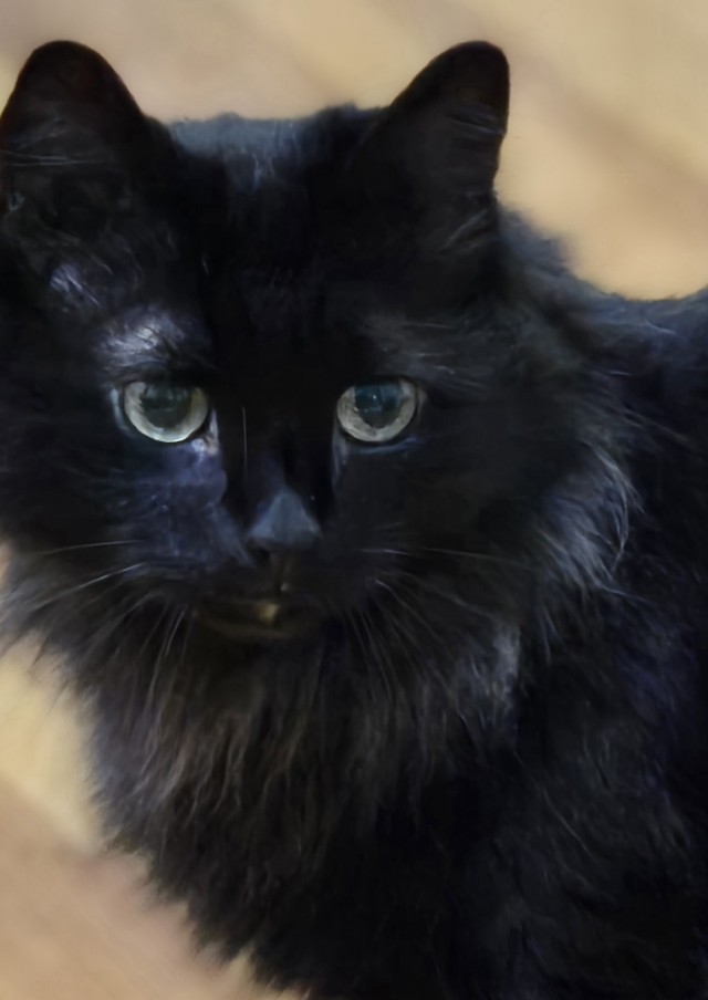 Минус один бродяга