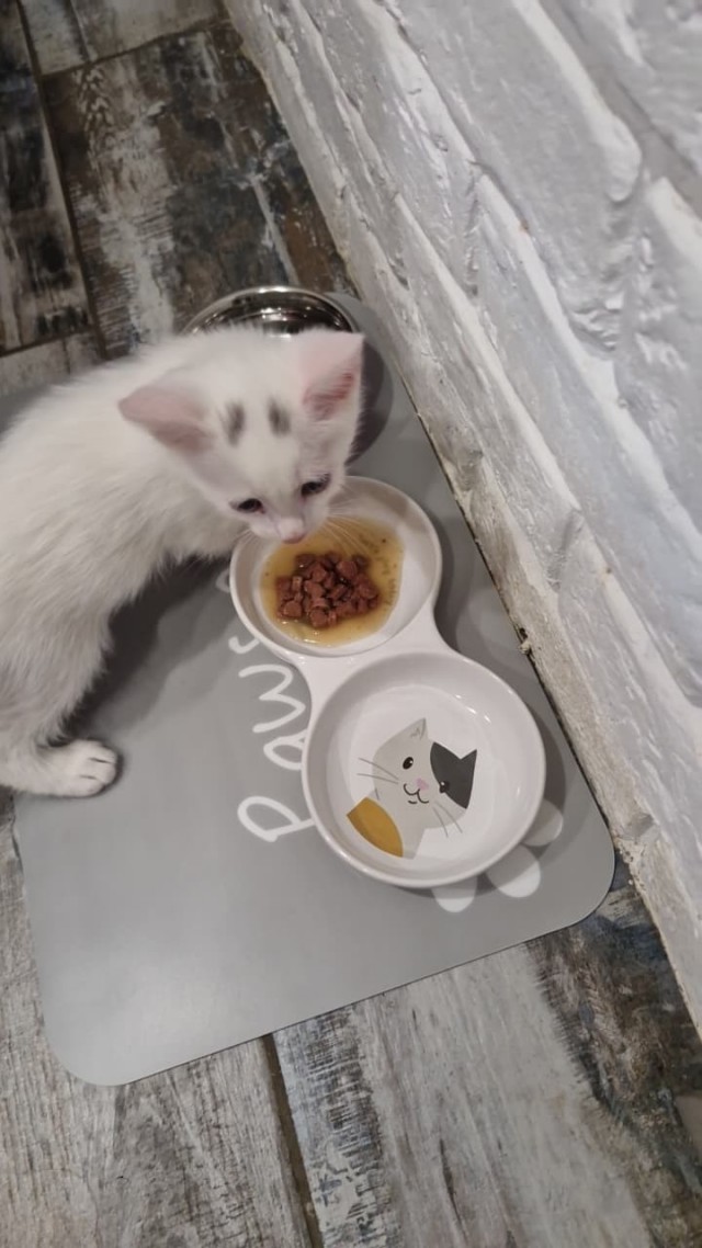 У нас пополнение в семье )))