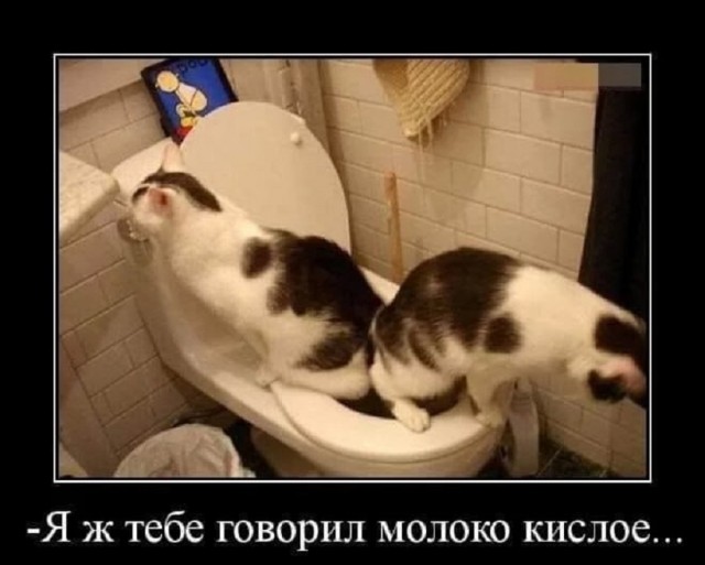 Так себе картинки 10.09.25