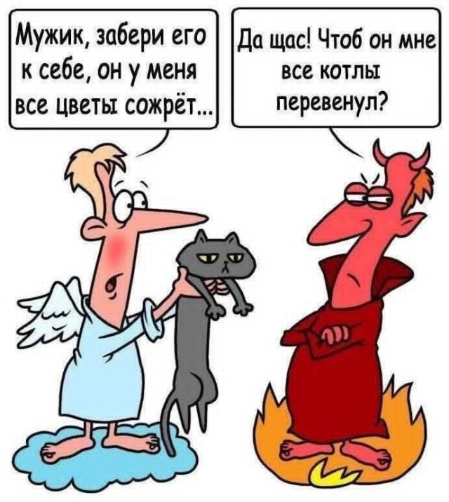 Маленькая пятница 17.09