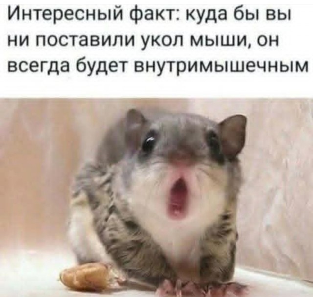 Маленькая пятница 15.10