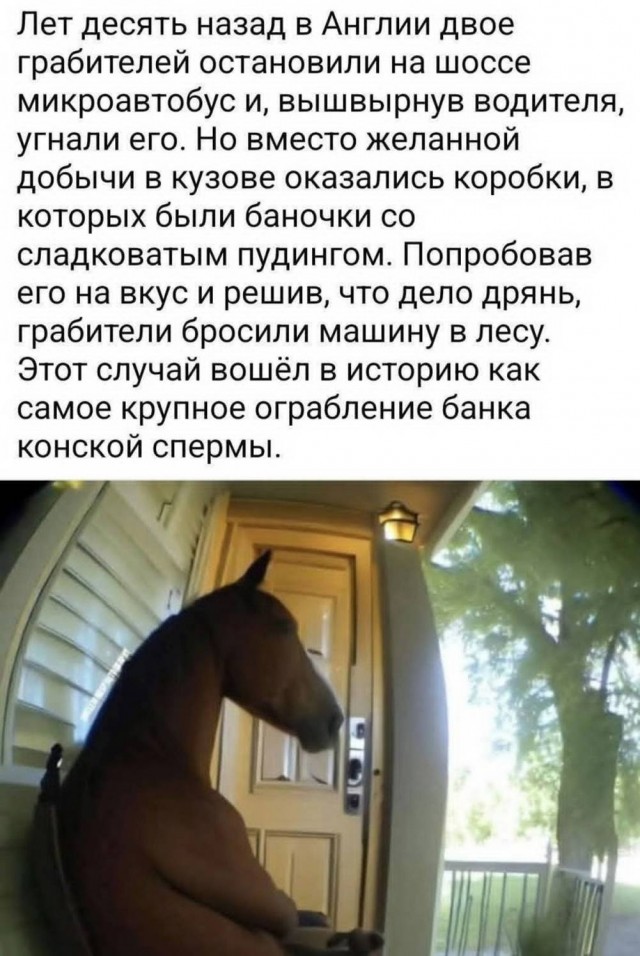 Картинки для деградации 92 (разной степени свежести)