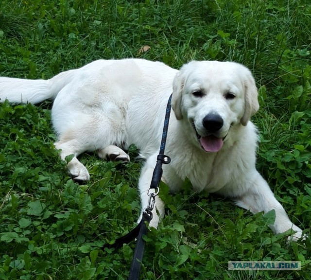 Скорее бы на дачу