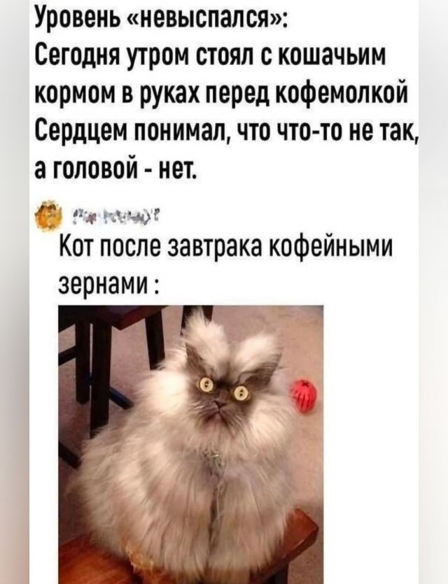Деградация