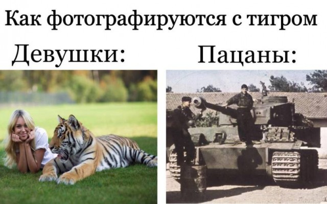 Веселых картинок вам в ленту