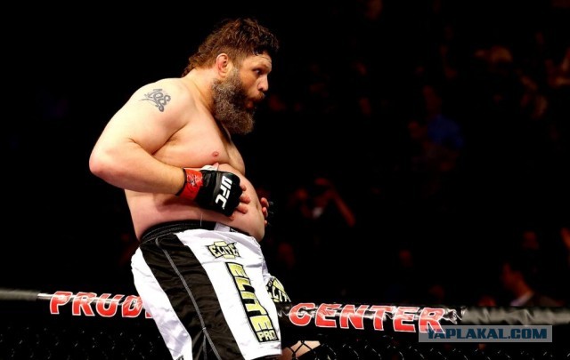 Внешность обманчива