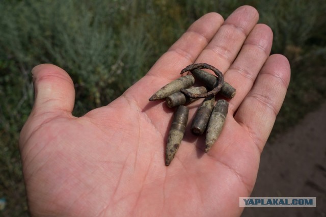 Трагедия обрела реальность!