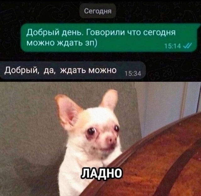 Тоже сижу жду