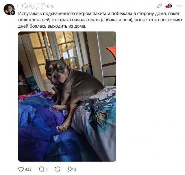 Истинные потомки волков!
