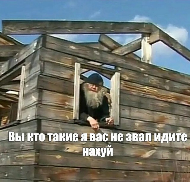 Зайцы ваще страх потеряли, средь бела дня по огороду рассекают