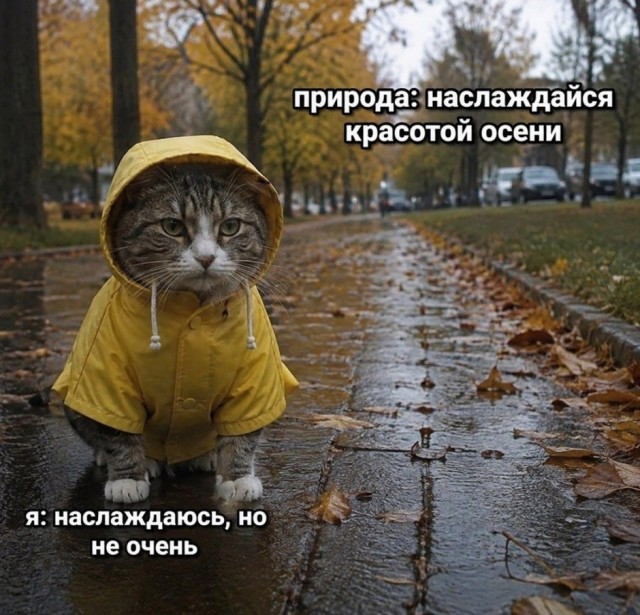 Так себе картинки 01.09.26