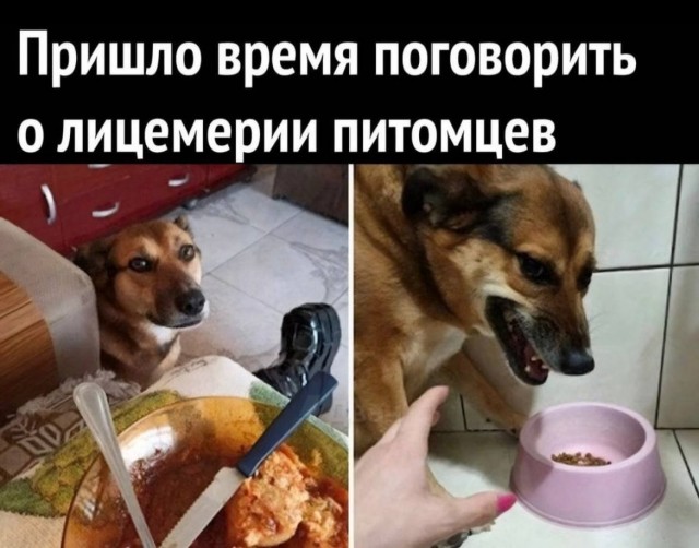 Картинки для деградации 286 (разной степени свежести)