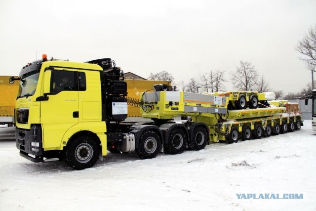 Огромная улитка на уральских дорогах