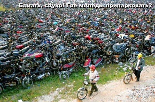 Фуршет на плотине