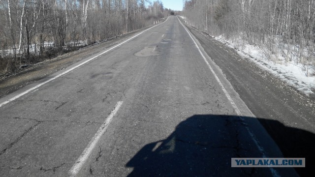 Озеленение Владивостока.