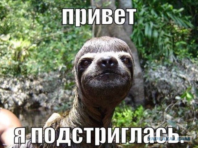 Фотки из интернета.