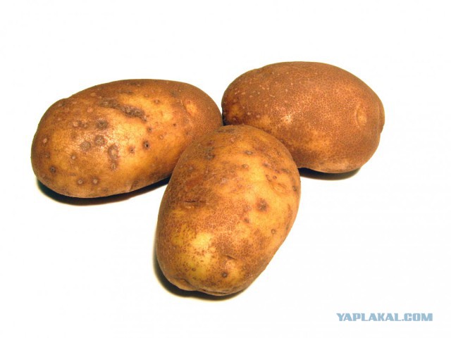 Без лишних слов